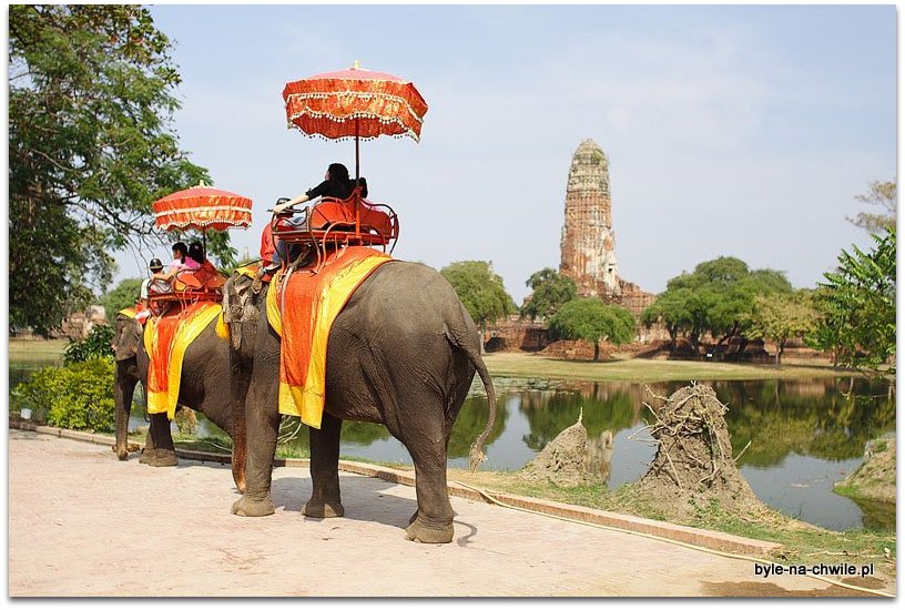 kompleks świątyń w Ayutthaya