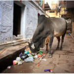 Wąskie uliczki Varanasi