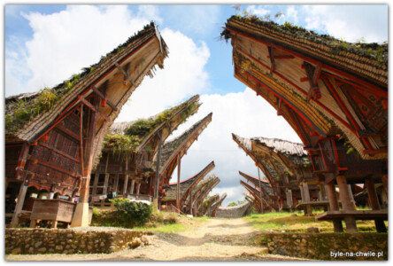 Tana Toraja Tongkonan (tradycyjny dom)