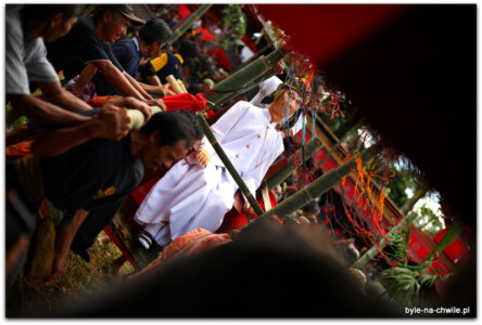 Tau Tau, podobizna zmarłego, Tana Toraja